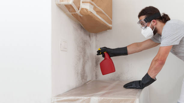 Professional Attic Mold Removal technician working in Grass Lake, MI
